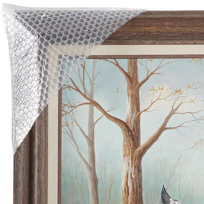 Bubble Frame Protectors